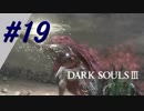 【リベルタ】ダークソウル3DLC冒険記＃19(END？)【生声実況】