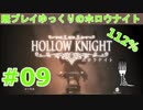【Hollow Knight】既プレイゆっくりの
