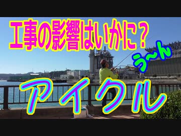 釣り動画ロマンを求めて 204釣目（アイクル）