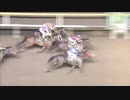 2018年11月6日船橋競馬10R フェイスフルブ－ツ特別(JRA500万下・B2B3) ウイントリニティー