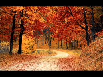 【癒し】枯葉が舞い落ちる音と木枯らしの音（睡眠用BGM・作業用BGM）