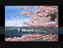 sakura drop