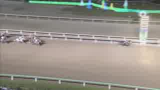 2018年11月7日船橋競馬12R 癒しのママモデル一色寛夏来場記念(B2-三組以下) ヴィグラスムーヴ