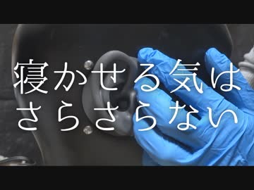 【眠りの民を粗雑に扱う】ニトリルゴム手袋をつけて雑に耳のマッサージ / ダミーヘッド【ASMR / 音フェチ】