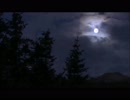 【癒し】虫しぐれ（睡眠用BGM・作業用BGM）