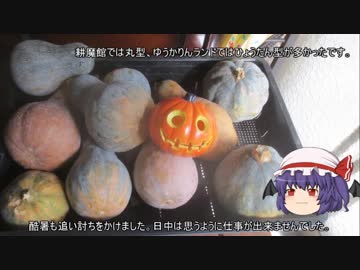 ゆっくり農民93畑を乗っ取ってみませんか？