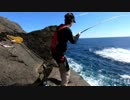 【魚釣り】 俺の刺し餌グレに届け！！part26