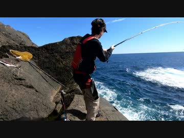 【魚釣り】 俺の刺し餌グレに届け！！part26