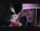 Buckethead - Welcome to Bucketheadland (Best Live Version)