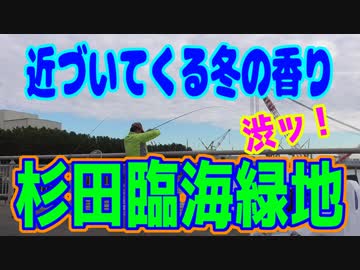 釣り動画ロマンを求めて 205釣目（杉田臨海緑地）