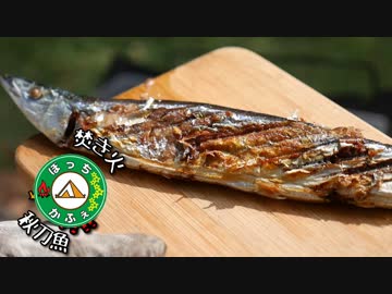 ぼっちかふぇ その132　~焚き火で秋刀魚！(*´﹃｀*)~　2018秋の味覚ソロキャン　の4