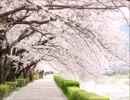 【オリジナル】「さよなら」は桜の言の葉に... (Flute&Piano)