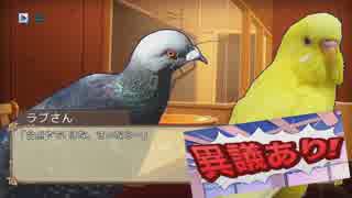 登場人物すべてが鳥類のバカゲー【Hatohuru Boyfriend:Holiday Star】