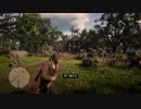 PS4 Red Dead Redemption 2 080