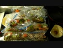 夜勤用のお弁当のおかず９食分を作ってみた