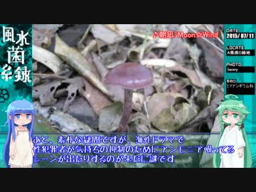 【ゆっくり】わてりとウィンディのきのこ散策【VIPRPG】