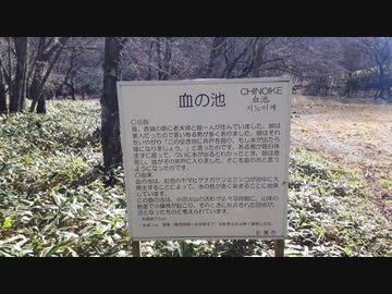 血の池に行ってみた＃孤独の料理