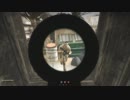 [Insurgency]今日の撮れ高的な 11/09,10