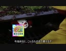 ペニーワイズはジョージを総理にしたいようです