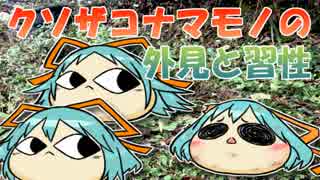 【ゆっくりマンガ】クソザコナマモノの外見と習性【ボイスドラマ】