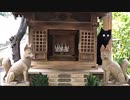 2018年11月09日　変わりゆく景色、あれからどうなったE47号棟、再訪編