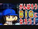 【パワプロ2018】#19 覚醒のきざし！？低めの投球術！【最弱二刀流マイライフ】