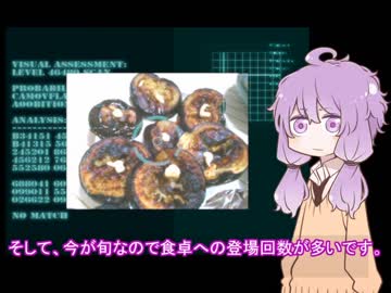 ダイエットアプリとゆかりさんの食卓