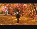 【朱灑しいと】うそつき 踊ってみた【紅葉】