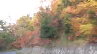 [車載動画]霧の朝の光城山へ　紅葉山道