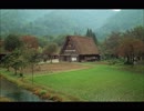 【癒し】かえるの鳴き声（睡眠用BGM・作業用BGM）
