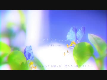 【UTAUカバー/音源配布】ツキクサ【茅歌コナギ(静CVVC)】