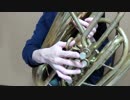 LOSER (米津玄師)」をチューバで演奏してみた。 tuba solo