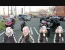 あかりちゃん『達』と、どんつくツーリング