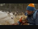 ゆるねぽの旅⑧
