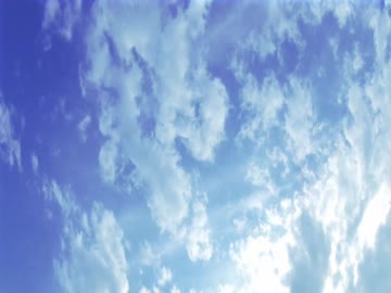 【癒し動画】木枯らしが吹く音と枯葉が舞い落ちる音（睡眠用BGM・作業用BGM）