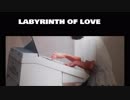 LABYRINTH OF LOVE（T-SQUARE）～エレクトーン演奏～
