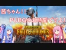 茜ちゃん！！PUBGのお時間ですよ！