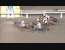 2018年11月12日大井競馬11R 深秋賞(B2-二組) ノアブリジット