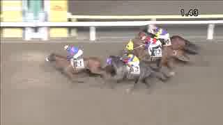 2018年11月12日大井競馬11R 深秋賞(B2-二組) ノアブリジット