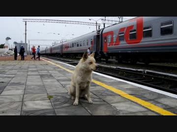 鉄道ユーラシア大陸横断記 Part4 シベリア鉄道前半戦