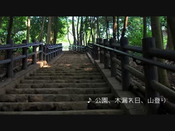 【BGM】公園、木漏れ日、山登り。