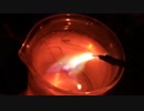 高圧電気で水の中から生火を起こす！FBT実験！