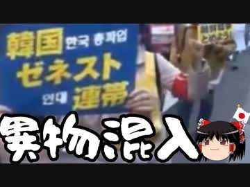 【ゆっくり保守】たまにはパヨデモを見てみよう