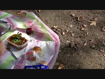 ビーフシチュー弁当　後半