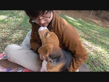100円で犬を大喜びさせる動画