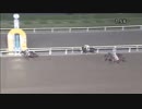 2018年11月13日大井競馬10R アーバンステージ霜月賞(JRA500万下・B2B3) モンスターキング