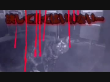 ズルっ　滑った！