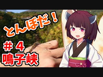 Ride on Z250 with きりたん part4 【鳴子狭編】