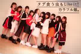 【カラフル娘。】タデ食う虫もLike it!　踊ってみた【アンジュルム】