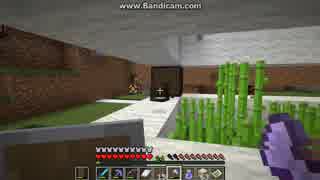 [第391日]マイクラ冒険記[Minecraft]